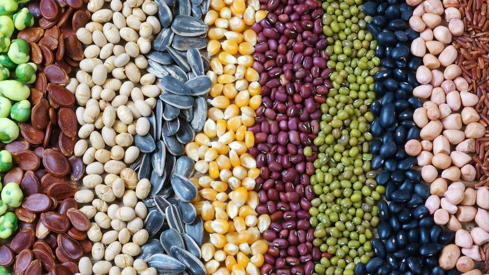 Alimentos que ayudan a controlar el apetito